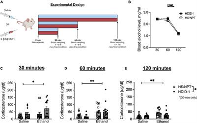 Corticosterone Levels and Glucocorticoid Receptor Gene Expression in High Drinking in the Dark Mice and Their Heterogeneous Stock (HS/NPT) Founder Line